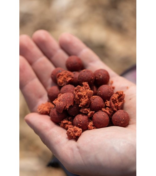 Boilies High Impact Spicy Crab 15mm Mainline