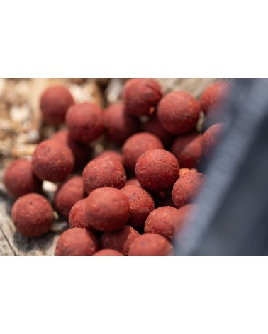 Boilies High Impact Spicy Crab 15mm Mainline