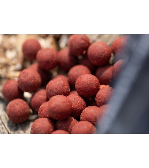 Boilies High Impact Spicy Crab 20mm Mainline