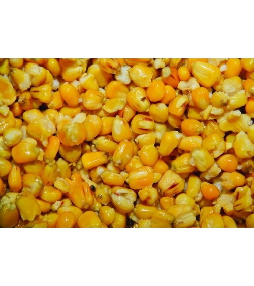 Mais Frenz. Maize 2.5lt Dynamite